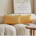 thumbnail image 1 of Pack of 2, Velvet Pillow Covers Striped Throw Cushion Case Set Accent Corduroy Lumbar Pillowcases with Hidden Zipper for Home Decor Indoor Outdoor (12, 1 of 4