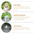 thumbnail image 3 of FESTFENDS 4Ud Cubierta Para Plantas Suculentas Con Transparente Y Material Práctico, 3 of 8