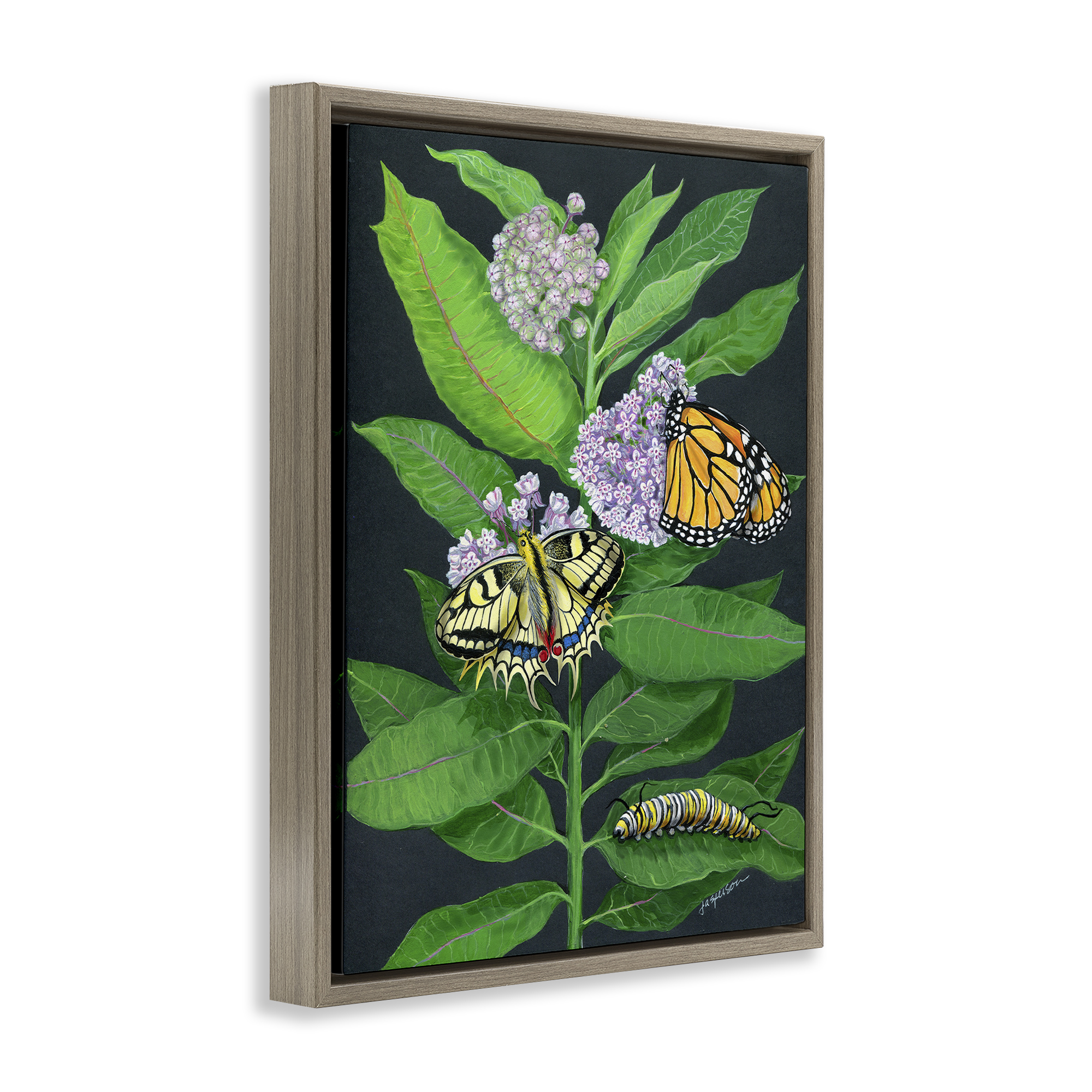 Stupell Industries Vintage Milkweed & Insects Animals & Insects Painting Brown Floater Framed Art Print Wall Art, 17 x 21