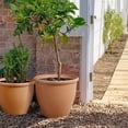 thumbnail image 6 of Worth 2 Pack 15" Round Planters, Large Plastic Plant Pots with Drainage Hole, 6 of 10