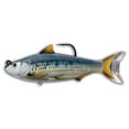 thumbnail image 2 of LiveTarget Lures Common Shiner Swimbait, 2 of 2