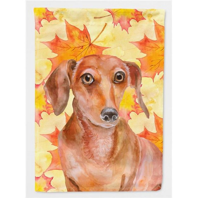 Carolines Treasures BB9968GF Red Dachshund Drapeau d'Automne - Taille Jardin