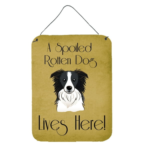 Carolines Treasures BB1489DS1216 Border Collie Spoiled Dog Lives Here Wall and Door Hanging Prints