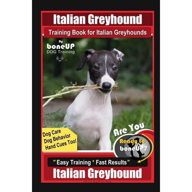 Are Italian Greyhounds Hard To Train