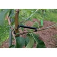 thumbnail image 1 of 10 Uds. De soporte para ramas de árboles frutales, esparcidor de ramas de árboles, marco de soporte para ramas de árboles LingWen 8390615920919, 1 of 1
