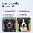 thumbnail image 2 of Petpost Oatmeal & Chamomile Shampoo for Dogs - Soothes Dry, Itchy, Sensitive Skin - Naturally Healing Formula with Aloe & Yucca - 16 oz, 2 of 10