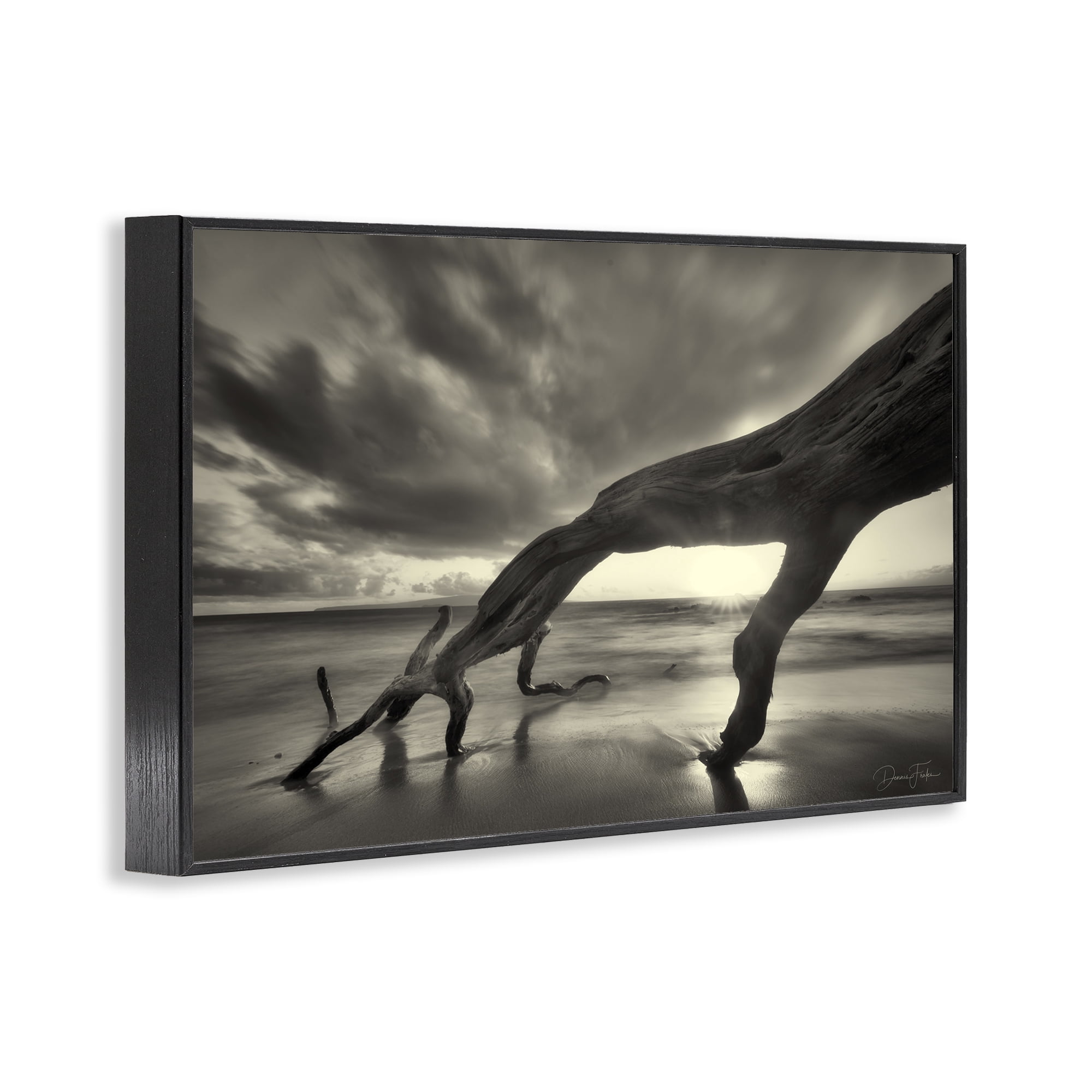 Stupell Industries Tree Trunk on Shore Landscape Photography Black Framed Art Print Wall Art, 18 x 12