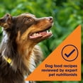 thumbnail image 6 of Nature's Recipe Grain Free Chicken, Sweet Potato & Pumpkin Dry Dog Food, 4 lb Bag, 6 of 12