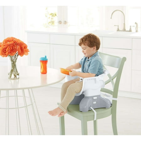 Fisher-Price SpaceSaver Adjustable High Chair, Geo Meadow