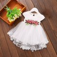thumbnail image 2 of Kids Girls Dress Summer Short Sleeve Round Neck Mesh Splice Irregular Hemlines Flower Dress Cute Dresses for Girl, 2 of 6