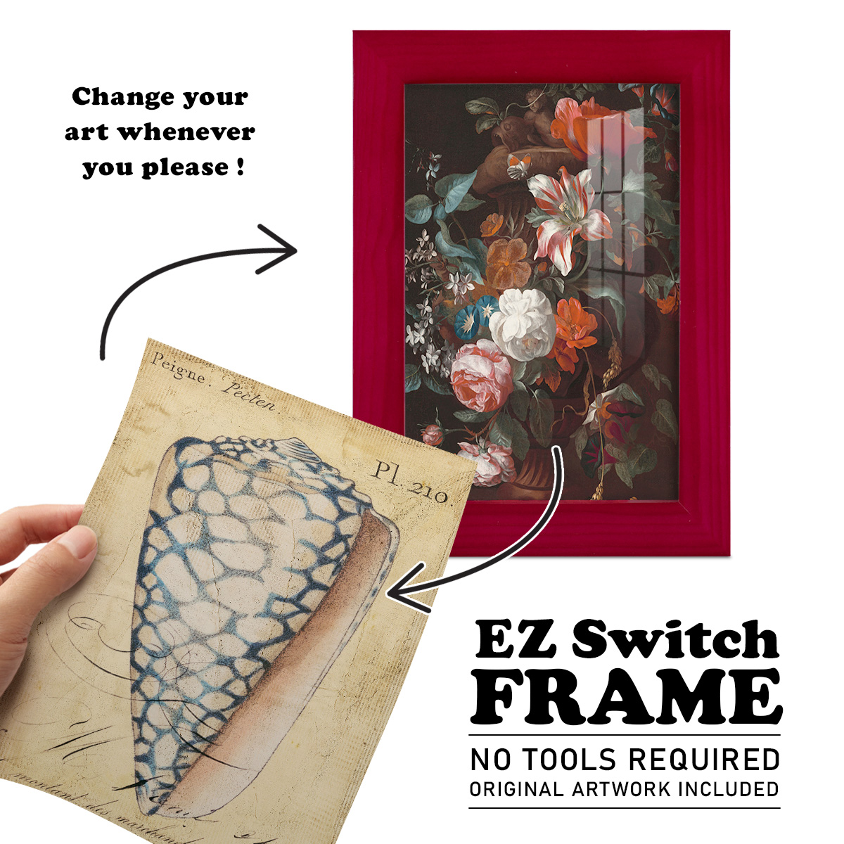 Seashell Ephemera IV - Framed Print w/glass - Cherry Red