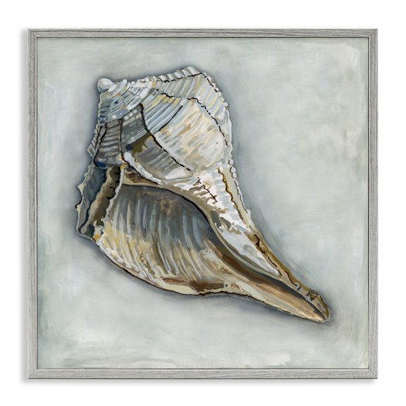 Stupell Industries Traditional Nautical Conch Shell Gray Framed Giclee Art, 17 x 17, by Erica Christopher