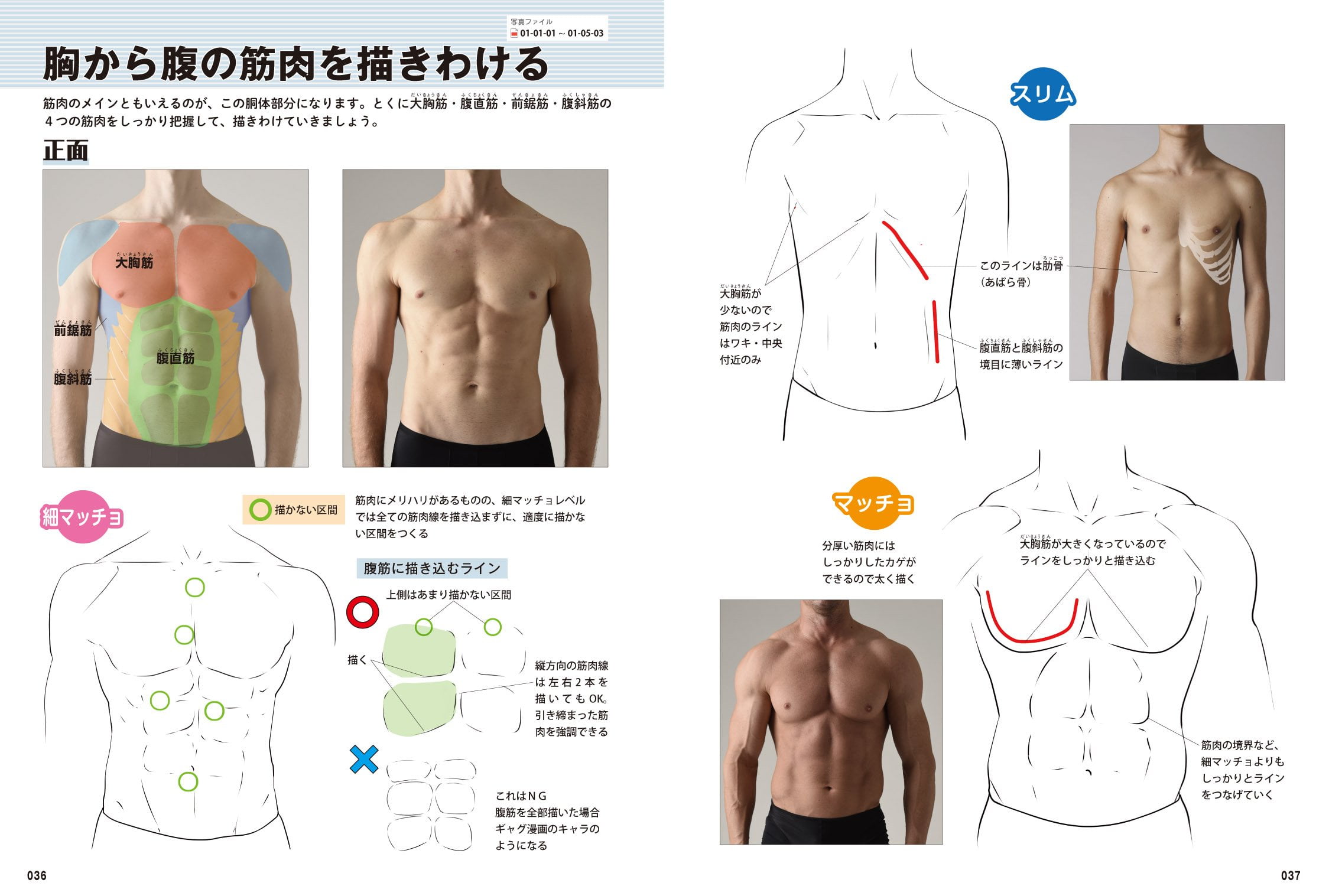 How To Draw Manga Anime Men S Muscle Technique Book Pose Collection From Slim To Macho 男の筋肉 描きわけポーズ集 スリムからマッチョまで Walmart Com