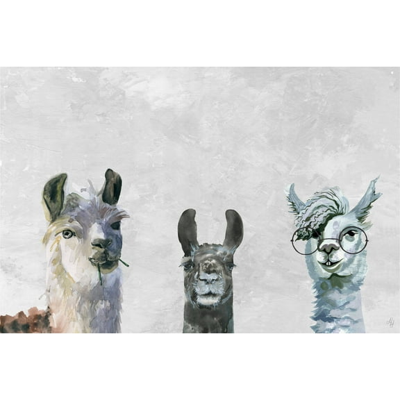 Marmont Hill Llama Squad II Canvas Wall Art