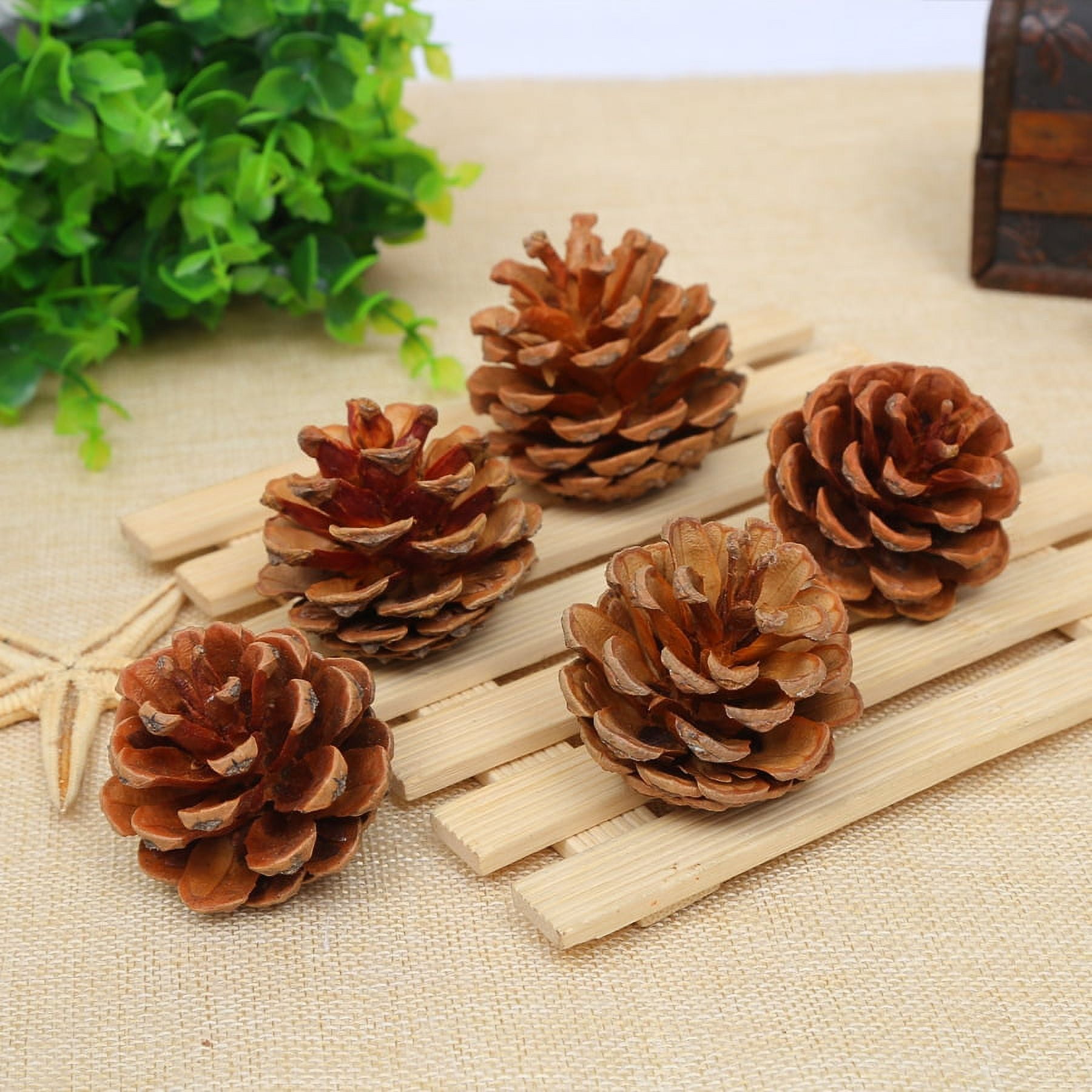 24 piezas de piñas naturales a granel, adornos de piñas de Navidad para ...