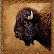 Thirstystone Occasions Drink Coasters, Set, Bison Portrait