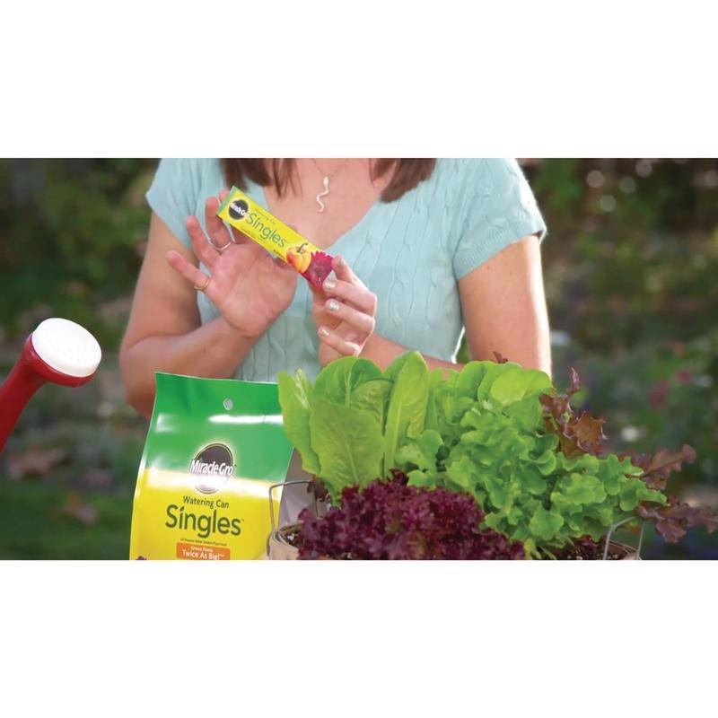 Miracle-Gro Watering Can Singles All Purpose Water Soluble Plant Food, 24 Singles - image 4 of 8