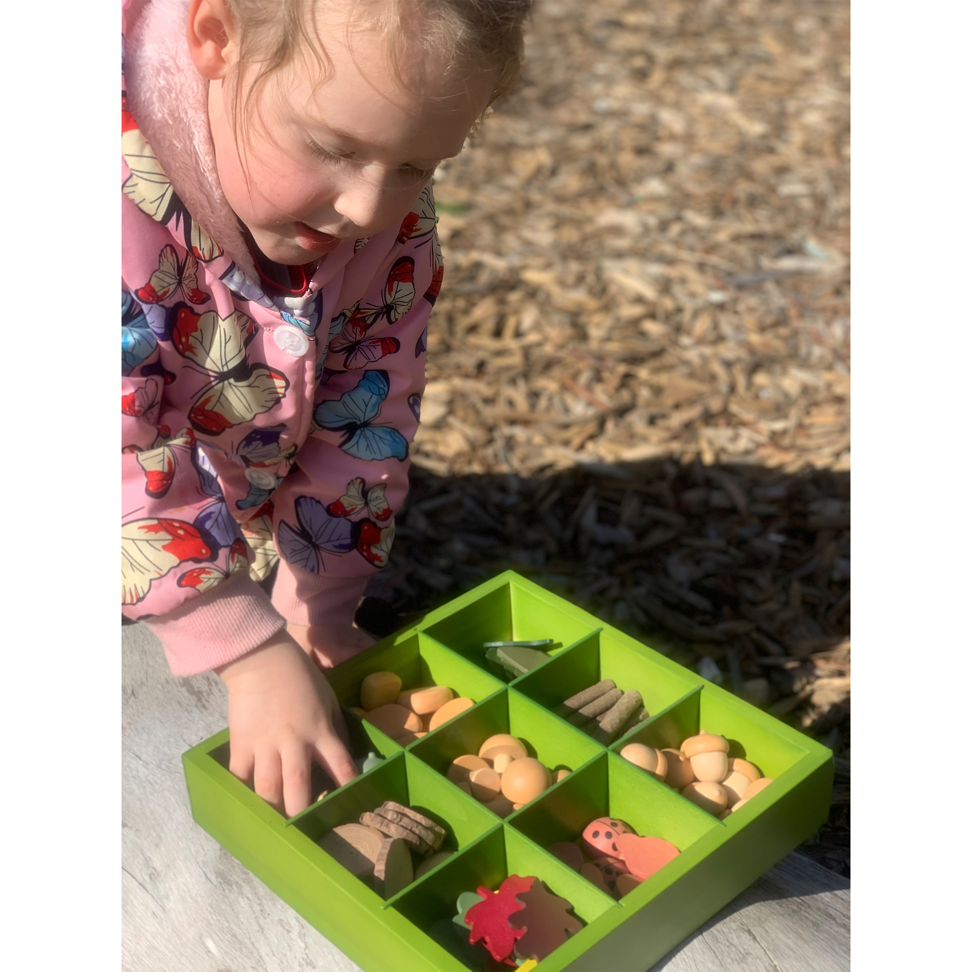 The Freckled Frog Nature's Sorting Box
