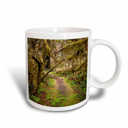 3dRose Hoh Rainforest, Olympic Peninsula, Washington - US48 MWR0008 - Micah Wright, Ceramic Mug, 15-ounce