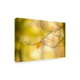 thumbnail image 2 of Trademark Fine Art 'Forest Run I' Canvas Art by James McLoughlin, 2 of 4
