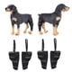 thumbnail image 1 of Paquete de 4 envolturas de apoyo para la articulación del corvejón de la pierna trasera del perro que protege el corvejón de la pierna trasera del per Fernando Soporte para la articulación de la rodilla del perro, 1 of 8
