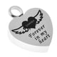 thumbnail image 1 of Colgante de acero inoxidable con forma de corazón para cremación, recuerdo de mascota, urna conmemorativa, 1 of 9