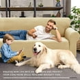 thumbnail image 2 of XINEAGE 2025 New 1 Piece Couch Covers for 2 Cushion (55"-69") Stretch Loveseat Sofa Cover Slipcover Jacquard Universal Furniture Protector with Elastic Bottom for Kids,Dog (Loveseat, Beige) C108, 2 of 3