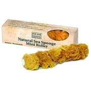 Modern Masters SS1030 ShimmerStone Natural Sea Sponge Mini Roller Pack of 1