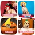 thumbnail image 2 of Greeniant 5 uds. De gorro para mascotas, ropa bonita para vestir a perros y gatos, disfraz de cachorro, accesorios de estilo cálido, diadema, Ropa para mascotas, 2 of 6