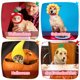 thumbnail image 2 of Greeniant 5 uds. De gorro para mascotas, ropa bonita para vestir a perros y gatos, disfraz de cachorro, accesorios de estilo cálido, diadema, Ropa para mascotas, 2 of 6