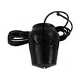 WAYNE ESP25 12Volt Battery Backup Sump System