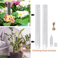 thumbnail image 4 of Plastic Moss Pole, Monstera Plant Support Semi Cylindrical Stackable  for Indoor Plants, 4 of 8