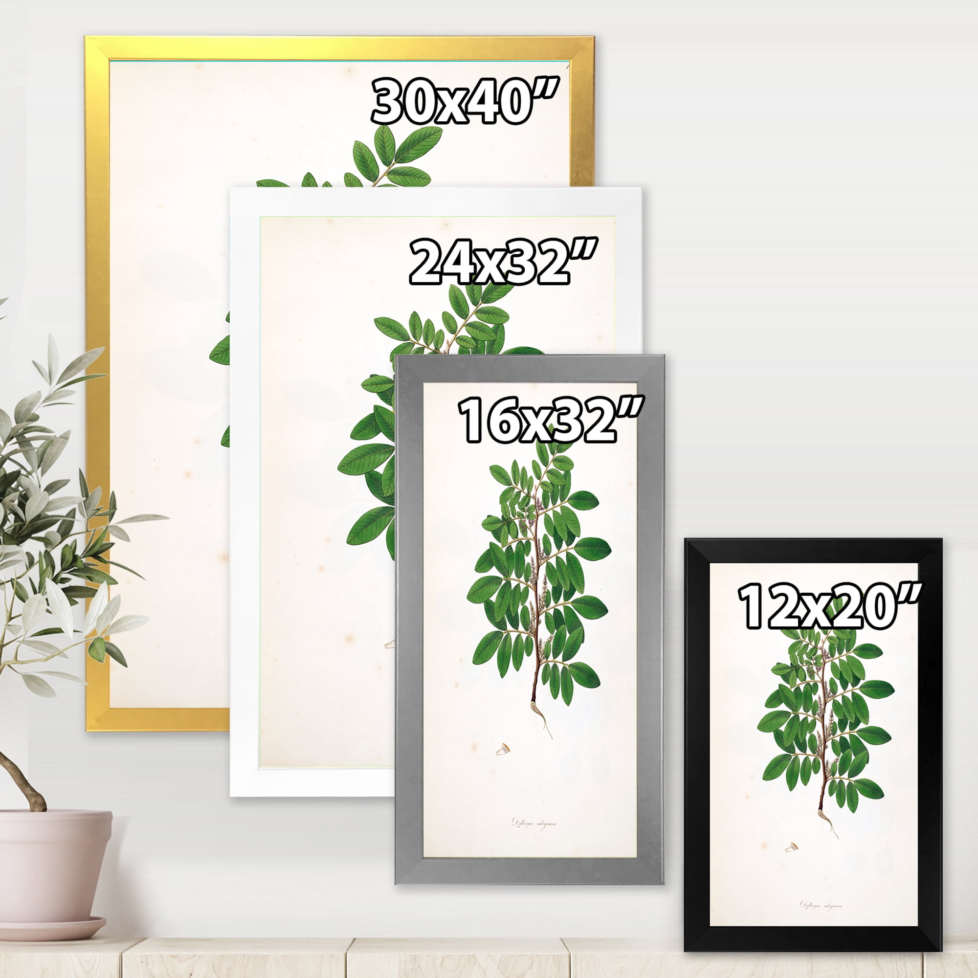 Designart 'Ancient Plant Life XX' Farmhouse Framed Art Print