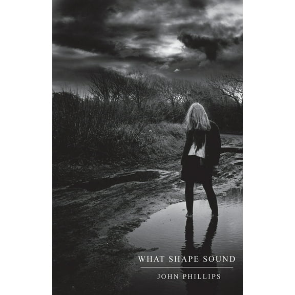 What Shape Sound (Paperback)