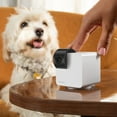 thumbnail image 4 of Petcube Cam 360 Wi-Fi Pet and Home Security Pan-Tilt Camera, 4 of 5