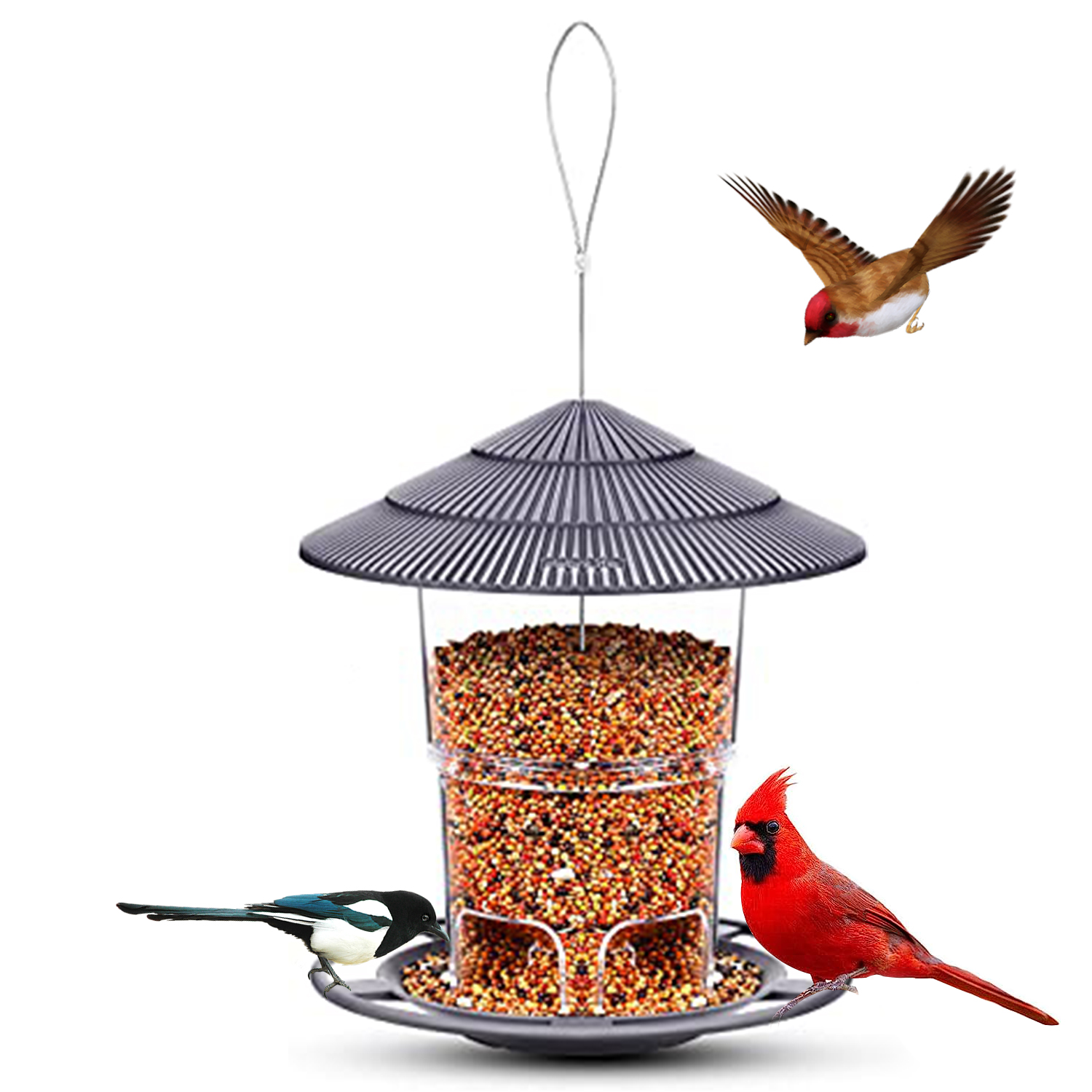 Bird Feeder, Bird Feeding Station Hanging Transparent Large Capacity