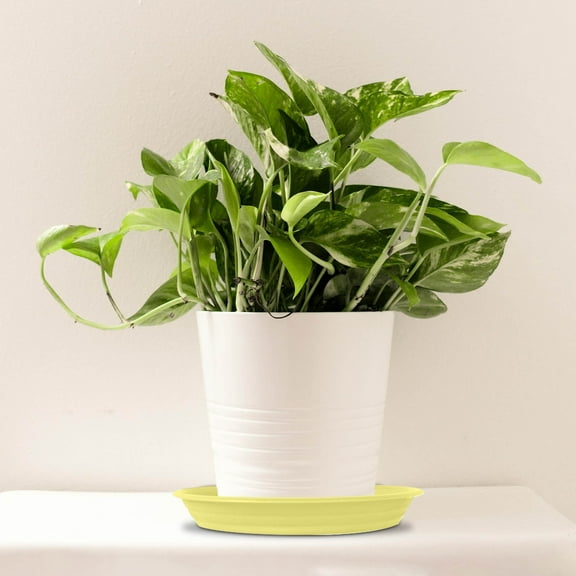 YaoZQ 14 inch Sturdy Plastic Plant Pot Saucer, Deep Round Drip Pan for Planters, Heavy Duty Water Catching Tray for indoor & Outdoor Use