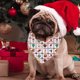 thumbnail image 3 of Bufanda triangular de Navidad para mascotas bufanda para perros MFZFUKR CPB-US-XD1477-5, 3 of 5
