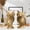 A, variant on 2Pcs Unfinished Wooden Swan Figurines – Paintable Animal Blanks for Home Decor Craft 1Set
