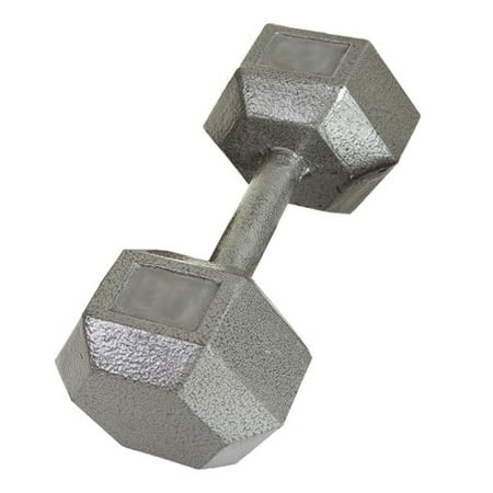 USA Sports by Troy Barbell 100 lb. Cast Iron Dumbbell - Single