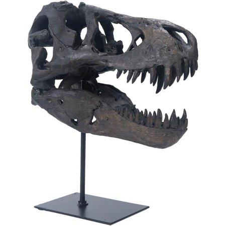 T Rex Skull Dinosaur Skull Tyrannosaurus Rex Skull with Bracket Resin Replica Decorative Dino Fossil Sculpture for Home Office Decor Shelf Display Brown