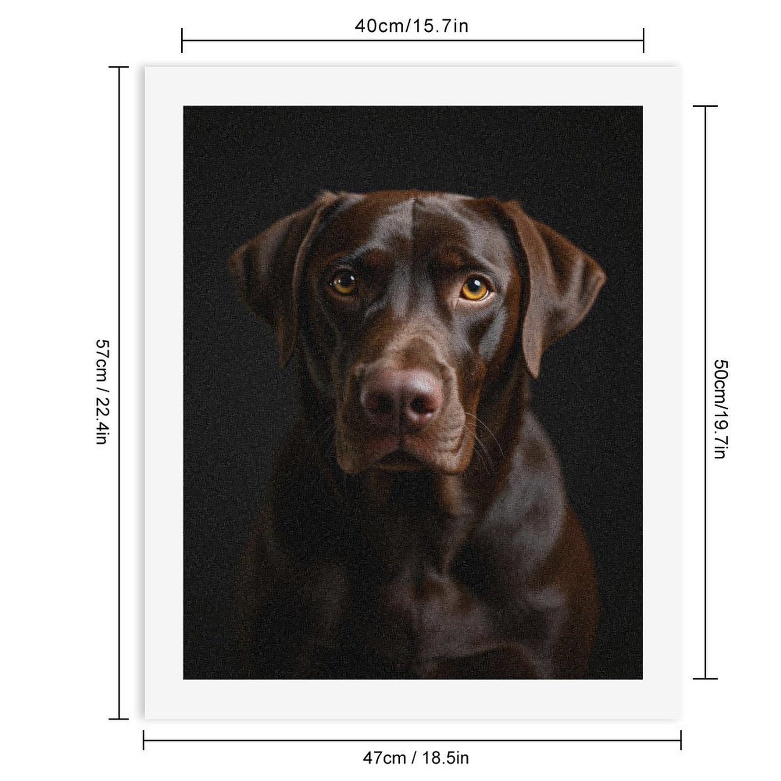 Paint By Numbers Kit for Adults Beginner - DIY Chocolate Labrador Portrait Canvas Painting Kits for Adults, Frameless Paint By Number for Adults for Home Wall Decor 16x20 Inch