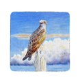 thumbnail image 1 of Betsy Drake CT1109 Osprey Storm Coaster - Set of 4, 1 of 1