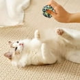 thumbnail image 4 of Jouets pour Animaux en Fil Pur Design Auto-Jouant pour Chat, 4 of 4