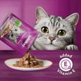 thumbnail image 4 of WHISKAS Favoris Morceaux en Sauce Saveur Poisson Blanc Sachet Nourriture Humide pour Chat Adulte, 85g, 4 of 5