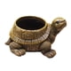 thumbnail image 4 of Maceta de tortuga coleccionable para restaurante, cumpleaños Marrón, 4 of 9