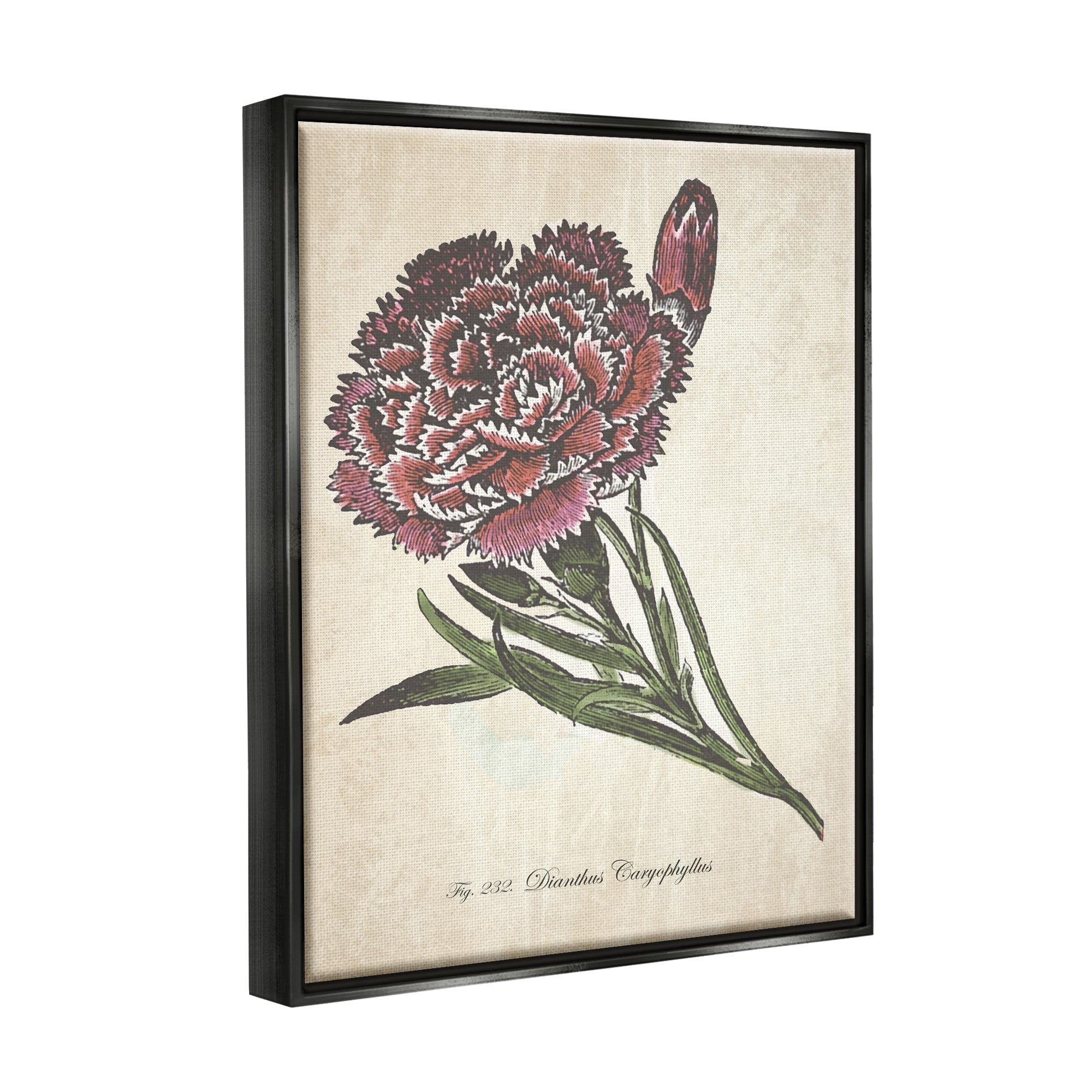 Stupell Industries Botanical Carnation Flower Drawing Red Green Design Jet Black Framed Floating Canvas Wall Art, 24x30, by The Saturday Evening Post