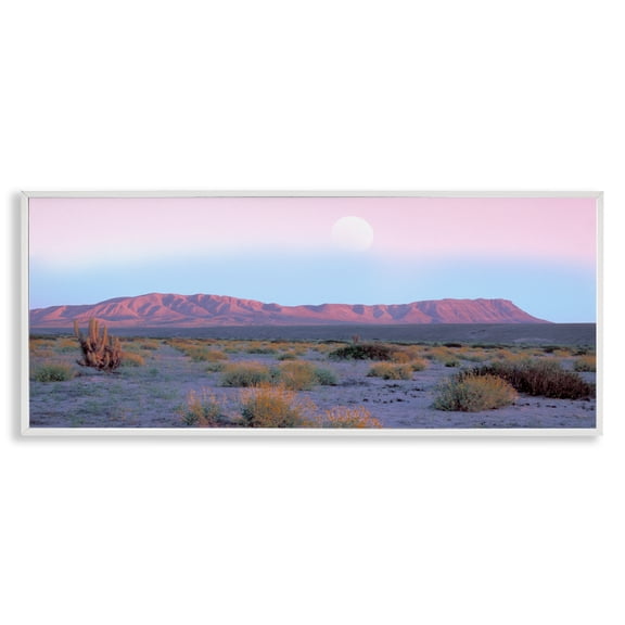 Stupell Industries Southwestern Desert Sun Arid Plateau White Framed Giclee Art, 24 x 10, by Danita Delimont