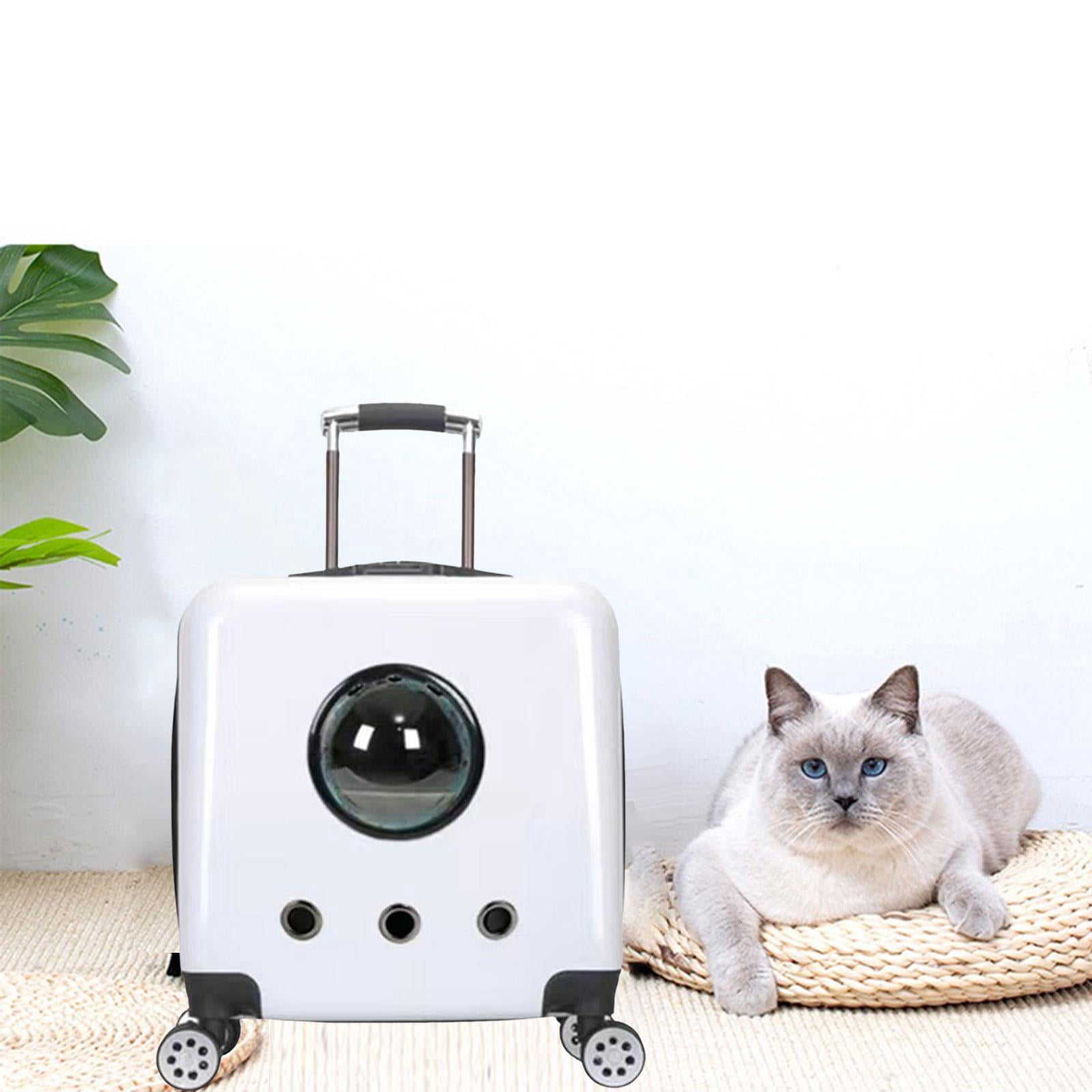 Bvdfgk Cat Trolley Case Backpack Tote Space Carrying Bag for Kitten Kitty Kennel Hiking white