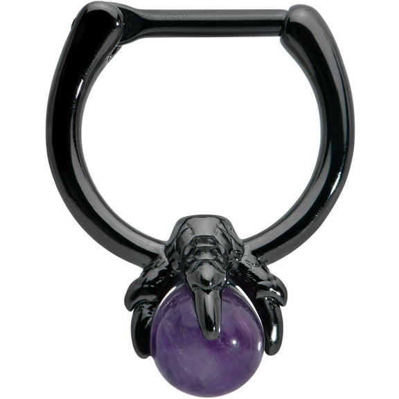Body Candy Womens 16G Black PVD Steel Septum Jewelry Purple Orb Claw Daith Tragus Cartilage Clicker 5/16"